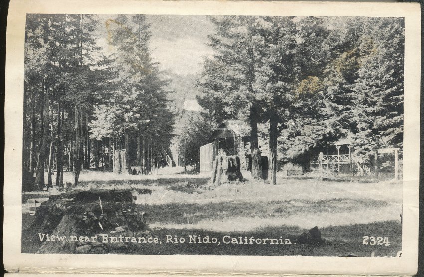 View near Entrance, Rio Nido, California, 2324