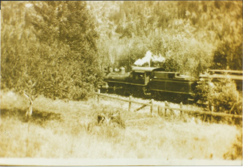 Photograph (Train going )