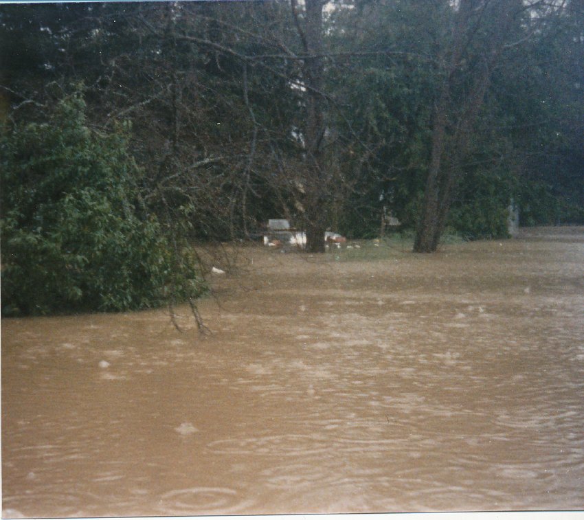 Photograph (Flood of 198)