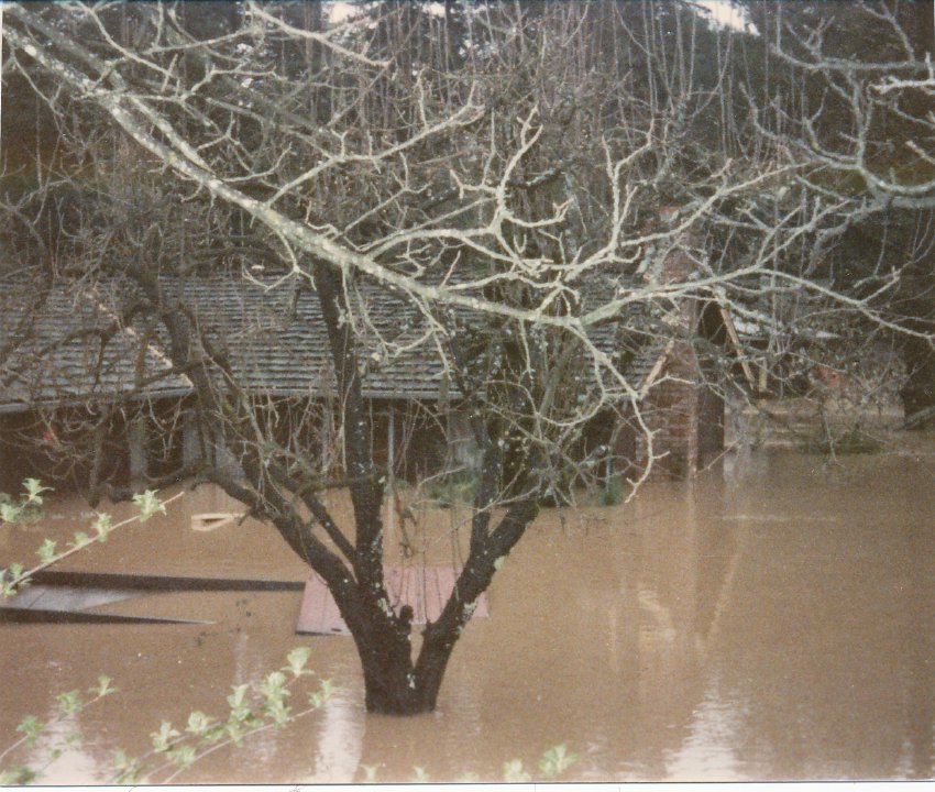 Photograph (Flood of 198)
