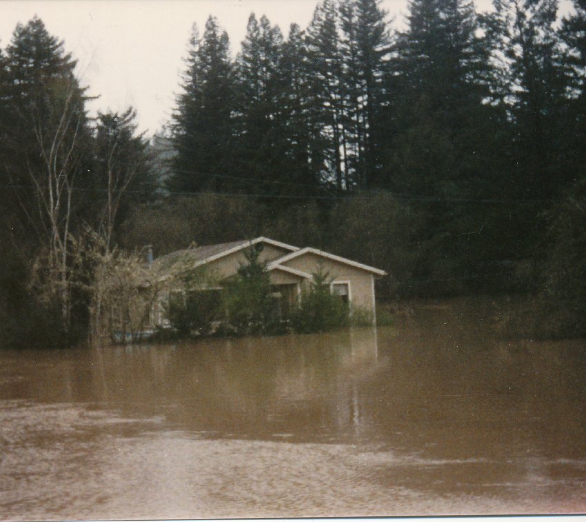 Photograph (Flood of 198)