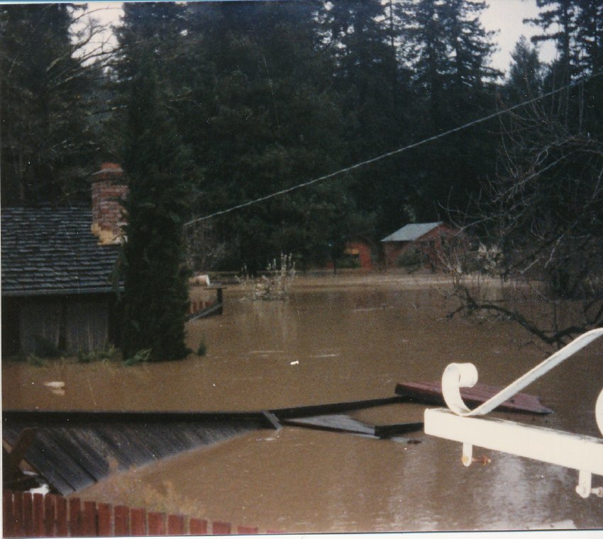 Photograph (Flood of 198)