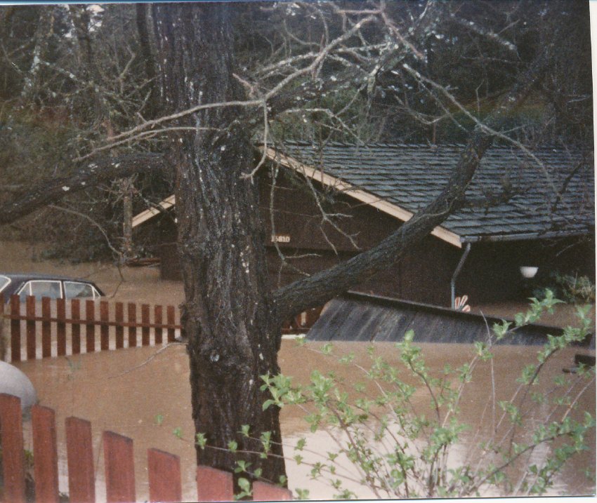 Photograph (Flood of 198)