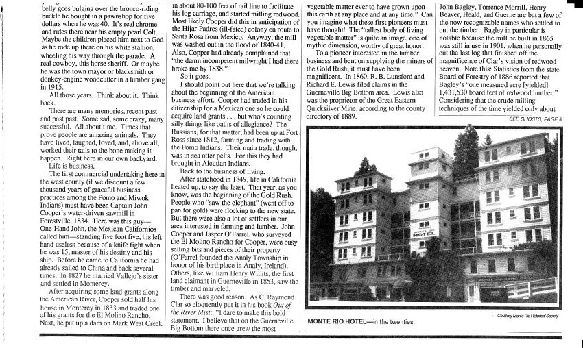 Article, Newspaper