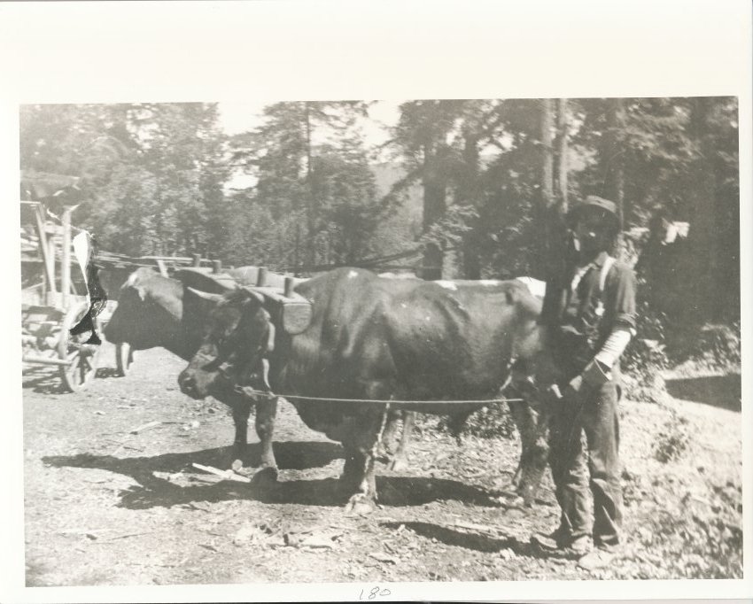 Cazadero — Kidd Creek, Two Bull Team