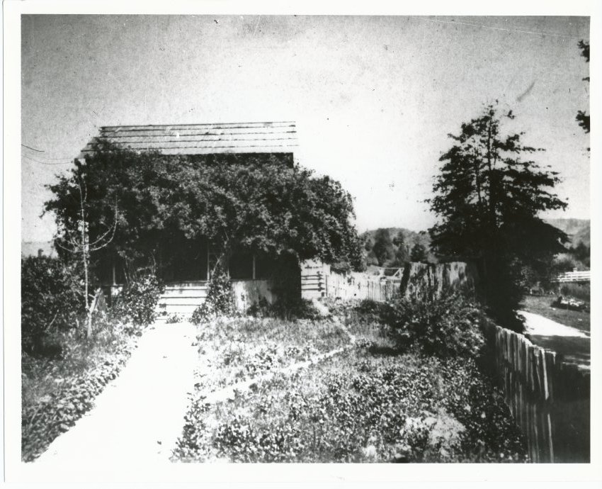 Guerneville — Vine Covered House