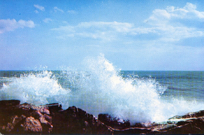 Postcard (Ocean: Waves)
