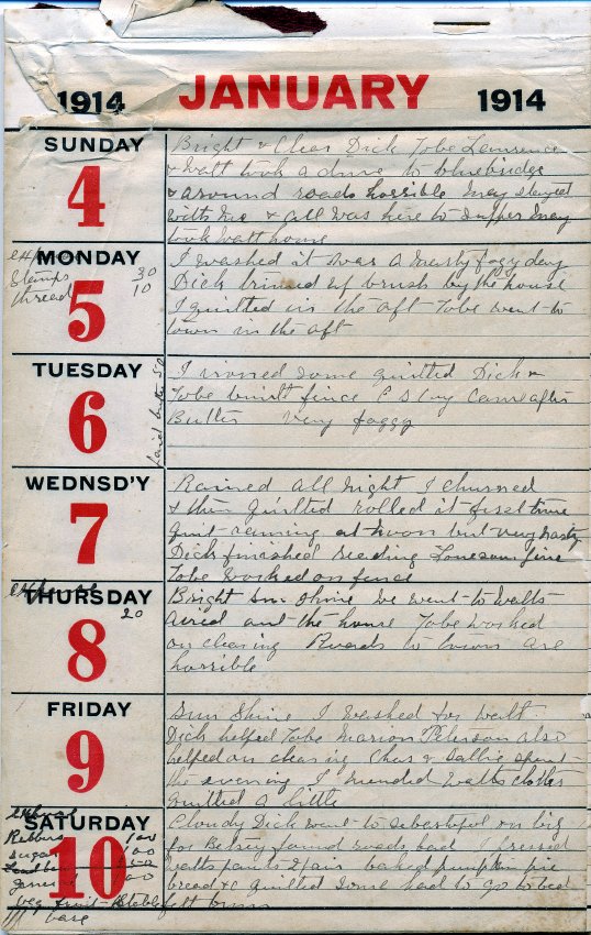 Diary (Daily diary )