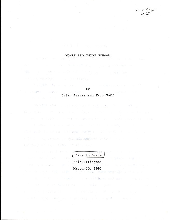 Essay (Clear cover )